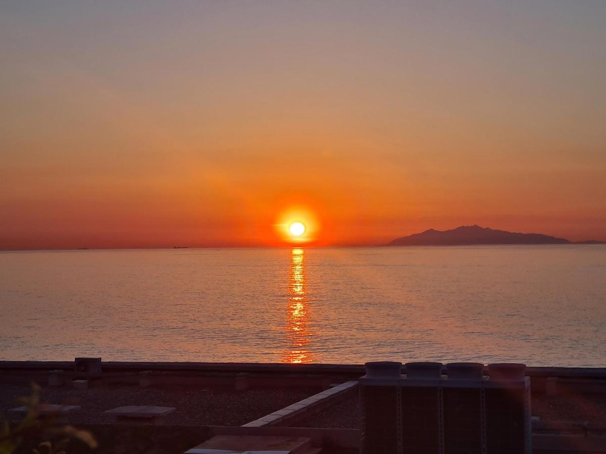 Corse, Residence Marina Di Bravone, Acces Direct Plage Linguizzetta ภายนอก รูปภาพ