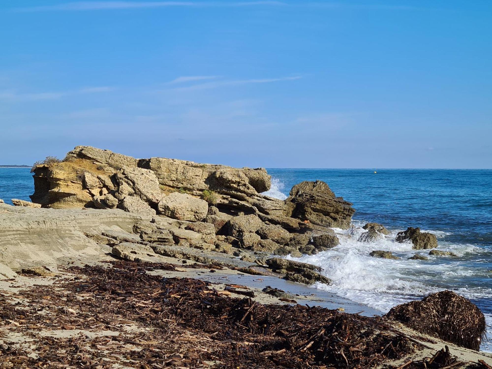Corse, Residence Marina Di Bravone, Acces Direct Plage Linguizzetta ภายนอก รูปภาพ